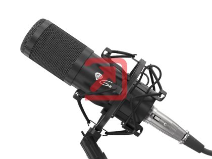 Микрофон Genesis Microphone Radium 300 Studio XLR ARM Popfilter