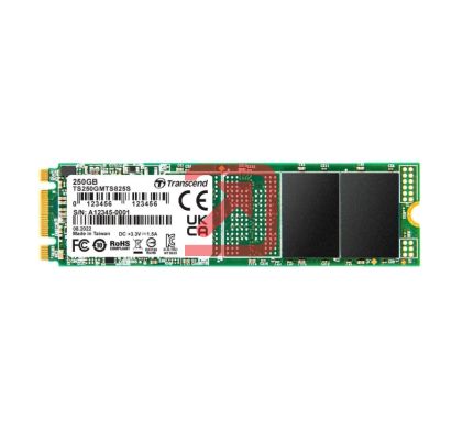 Твърд диск Transcend 250GB, M.2 2280 SSD, SATA3 B+M Key, TLC