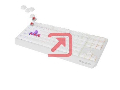 Клавиатура Genesis Gaming Keyboard Thor 230 TKL Wireless US White RGB Mechanical Outemu Red
