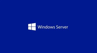 Програмен продукт с лицензен стикер Windows Server CAL 2025 English 1pk DSP OEI 1 Clt Device CAL