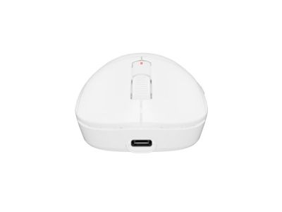 Мишка Fury Gaming Mouse Tanto T4 12000DPI Wireless With Software White